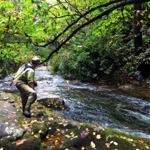 Jeff prospecting for rainbows.